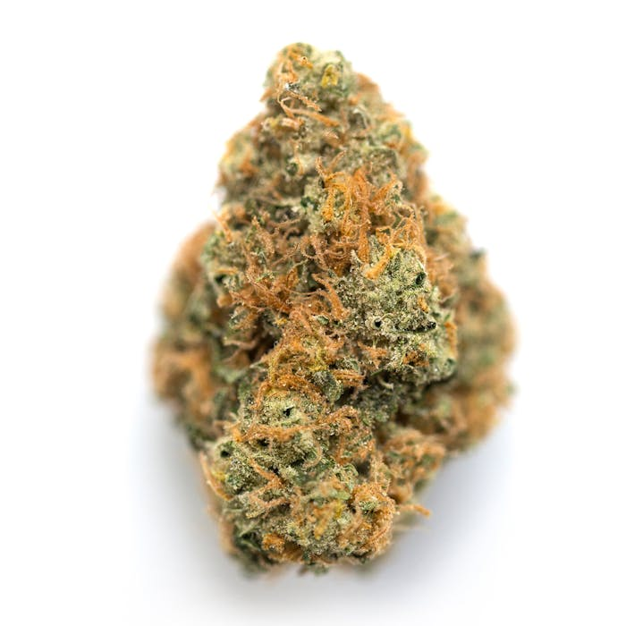 LEMON HAZE CLONES