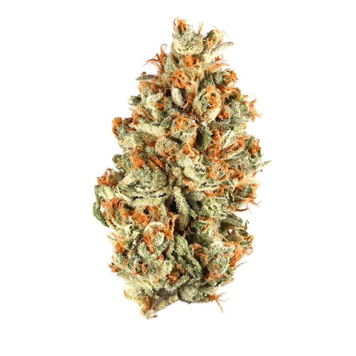 Red Bullz Clones