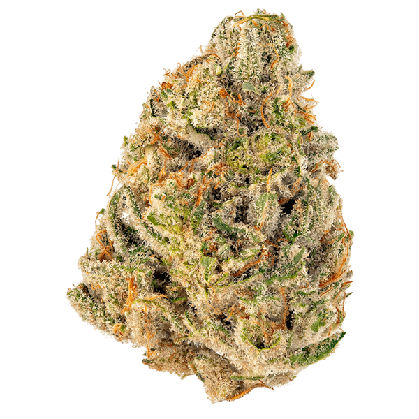 TROP CHERRY CLONES