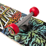 7.75in x 30.00in Obscure Dot Mini Santa Cruz Skateboard Complete