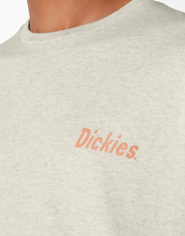 DICKIES SKATEBOARDING SPLIT GRAPHIC TEE -- (OATMEAL HEATHER)