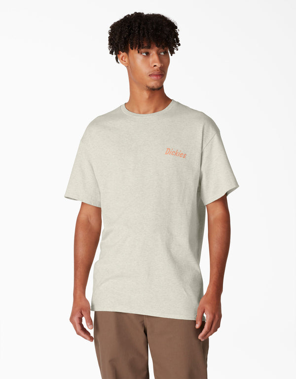 DICKIES SKATEBOARDING SPLIT GRAPHIC TEE -- (OATMEAL HEATHER)